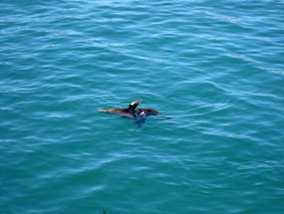 IMG_5567.jpg
