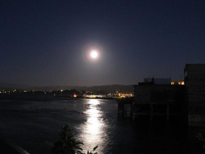 IMG_5584.jpg