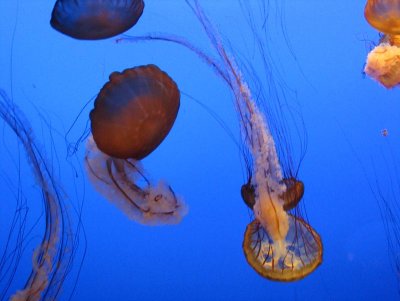 IMG_5597.jpg