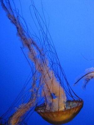 IMG_5599.jpg