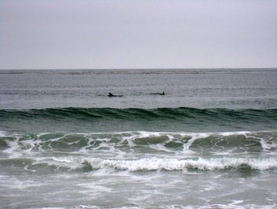 g1/01/388701/3/115415010.YO8vIHT9.jpg
