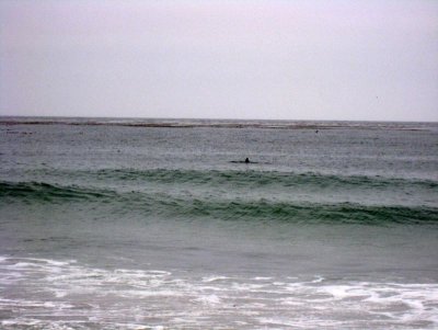 g1/01/388701/3/115415016.hdccdvFF.jpg