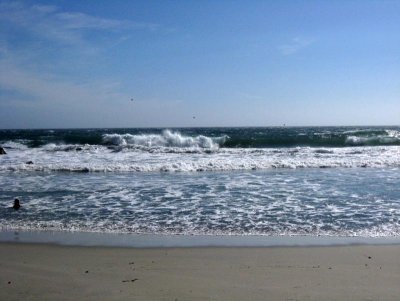 IMG_5931.jpg