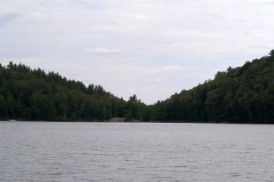 DSC_5453.jpg