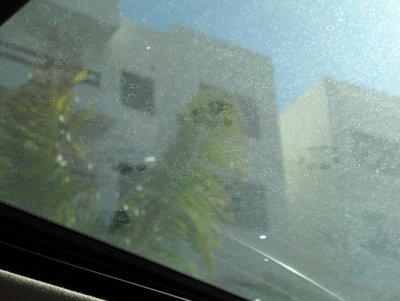 IMG_3932.jpg