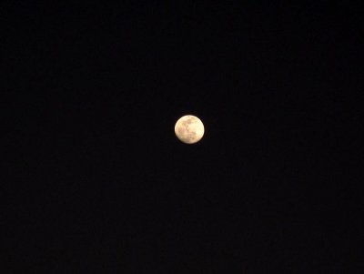 IMG_3961.jpg