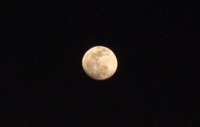 IMG_3961c.jpg