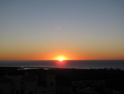 IMG_3980.jpg