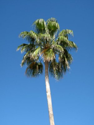 IMG_3994.jpg