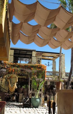 IMG_3999c.jpg