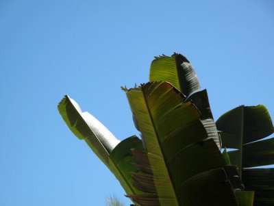 IMG_4000.jpg