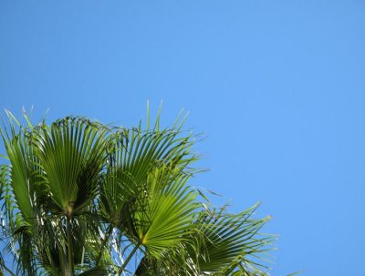 IMG_4002c.jpg