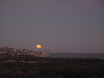 IMG_4027.jpg