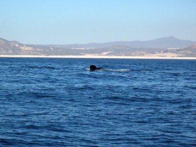 IMG_4058.jpg