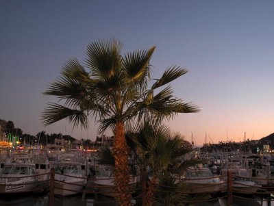 IMG_4115.jpg