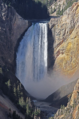 Yellowstone Lower Falls 9294