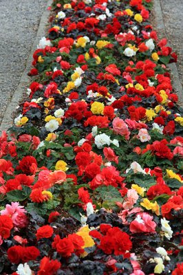 2008 Point Defiance Garden Show