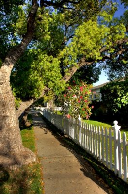 a late afternoon walk