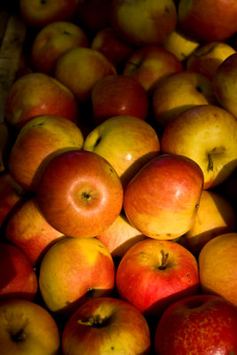 apples - farmer's market