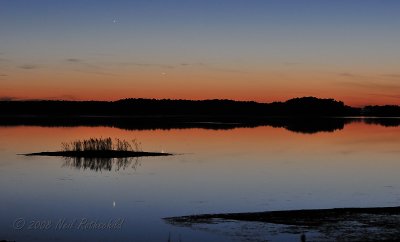 Chincoteague 2009
