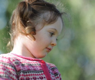 DSCN_164920.JPG