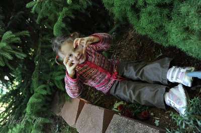 DSCN_165237.JPG