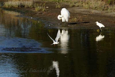DSCN_164387.JPG