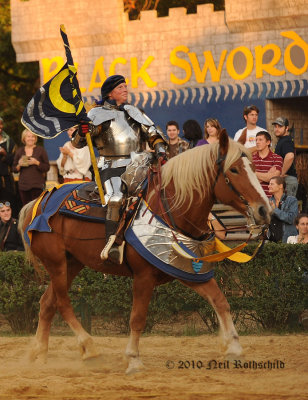 The Knights