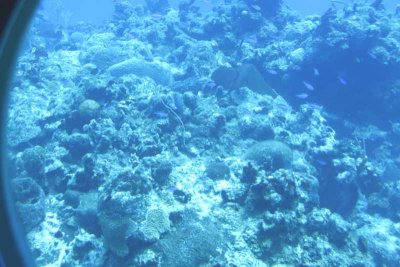 Chankanaab Underwater Marine Park