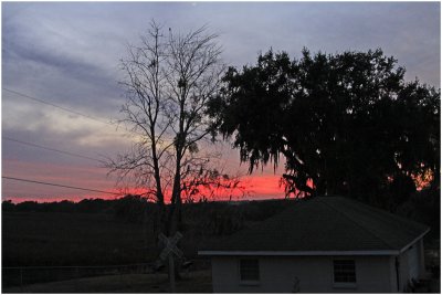 Weather From The Backyard