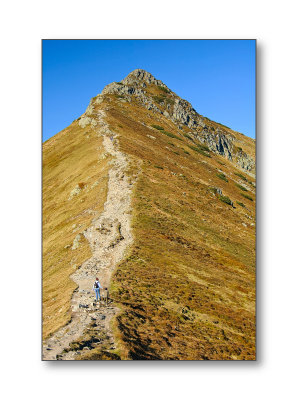 Goryczkowa CzubaTatry, Polska