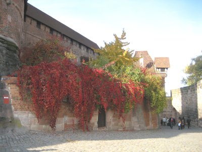 Nuremberg Foliage.JPG