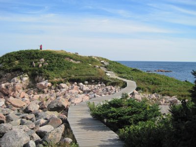 Another Boardwalk