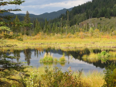 On the road to Patricia Lake