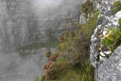 Cliff Table Mountain