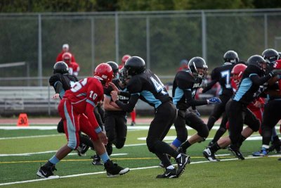 IMG_5918.jpg