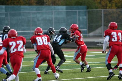 IMG_5965.jpg