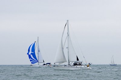 IMG_6769.jpg