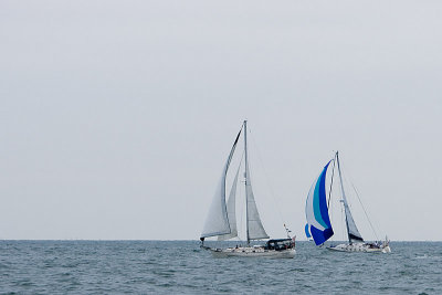 IMG_6786.jpg