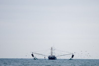 IMG_6801.jpg