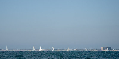 IMG_6880.jpg