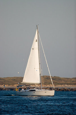 IMG_7439.jpg