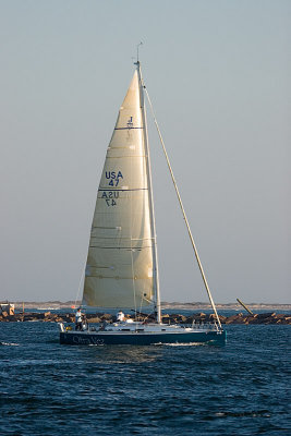 IMG_7452.jpg