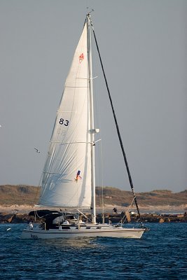 IMG_7460.jpg