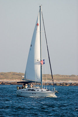 IMG_7474.jpg