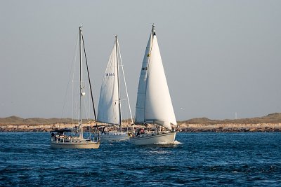 IMG_7480.jpg