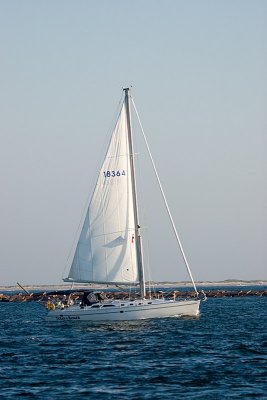 IMG_7486.jpg