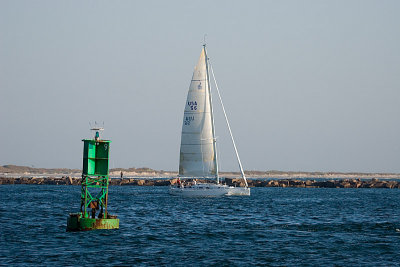 IMG_7504.jpg