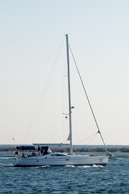 IMG_7581.jpg