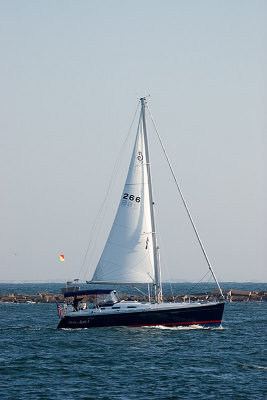 IMG_7585.jpg